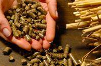free Radley biomass boiler quotes